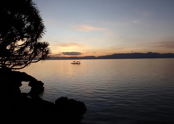 The Blue Orchid 4* Moalboal