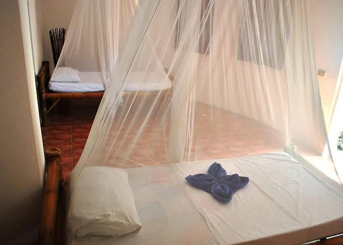 Resort The Blue Orchid Moalboal