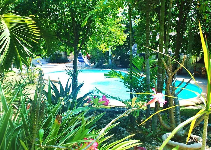 The Blue Orchid
