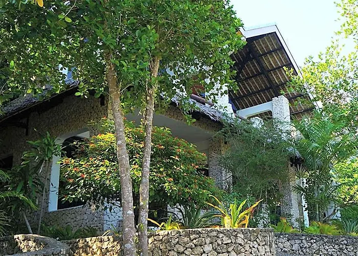 The Blue Orchid Moalboal