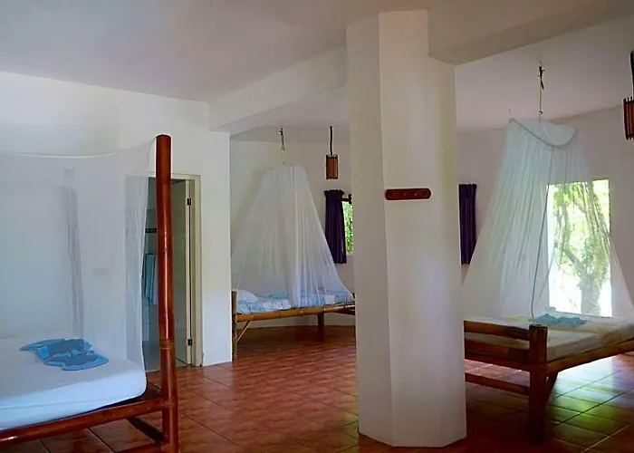 The Blue Orchid 4* Moalboal