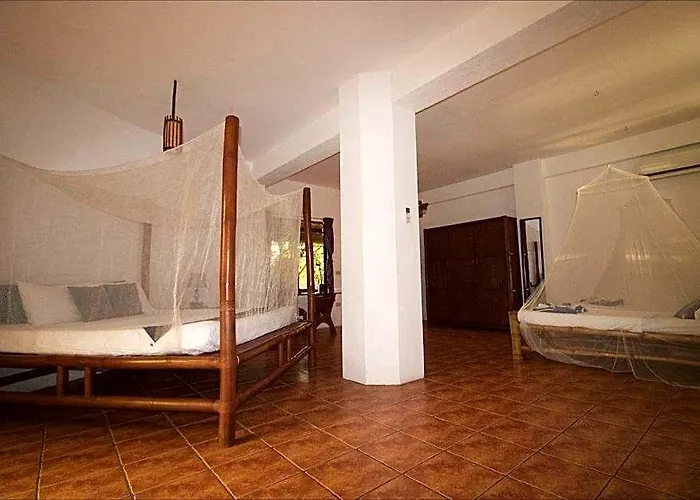The Blue Orchid 4*