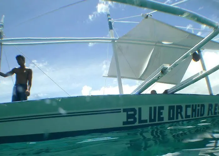 Resort The Blue Orchid Moalboal