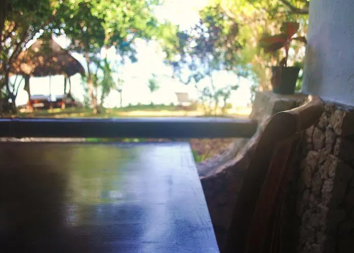 The Blue Orchid Moalboal