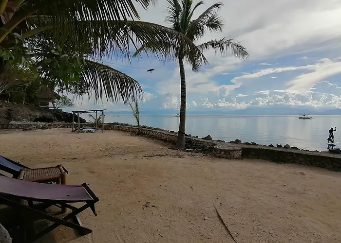 The Blue Orchid Moalboal